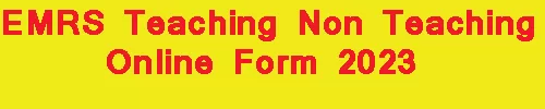 EMRS Teaching Non Teaching Online Form 2023