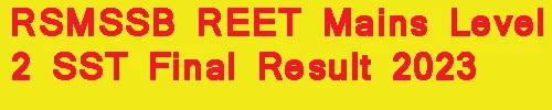 RSMSSB REET Mains Level 2 SST Final Result 2023