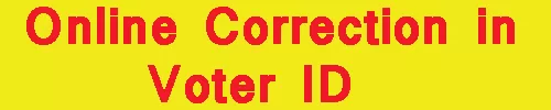 Online Correction in Voter ID